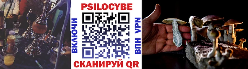 даркнет сайт  Чапаевск  Псилоцибиновые грибы Cubensis 